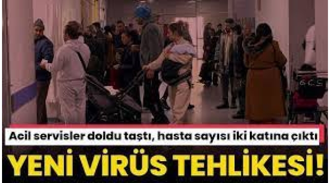 'Virüs potpurisi yaşıyoruz, hasta sayısı 2 katına çıktı'