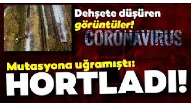 Salgının Adı Zombi Virüs!