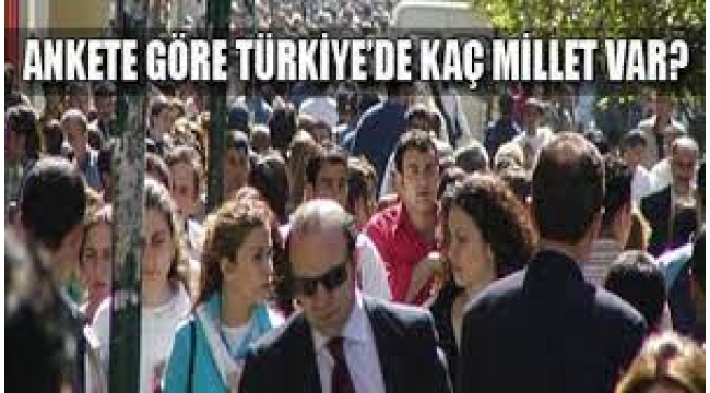 Türkiye'de hangi milletten kaç kişi var?
