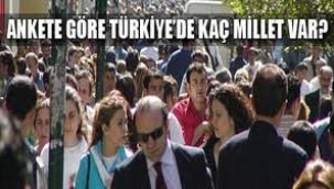 Türkiye'de hangi milletten kaç kişi var?