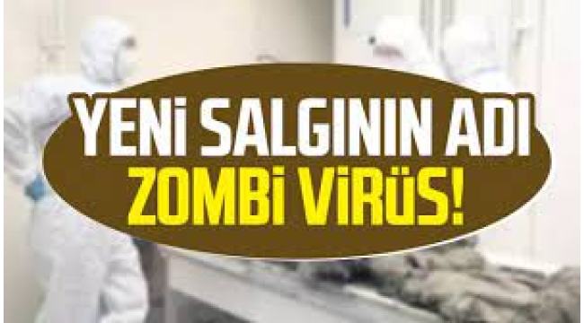 Yeni Salgının Adı Zombi Virüs!