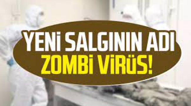 Yeni Salgının Adı Zombi Virüs!