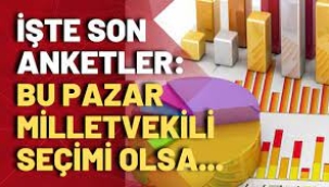 "Bu pazar milletvekili seçimi olsa" anketi