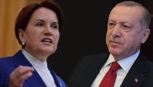 Meral Akşener'le ilgili çarpıcı Erdoğan iddiası!