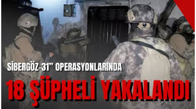 "Sibergöz-31" operasyonlarında 18 şüpheli yakalandı
