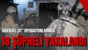 "Sibergöz-31" operasyonlarında 18 şüpheli yakalandı