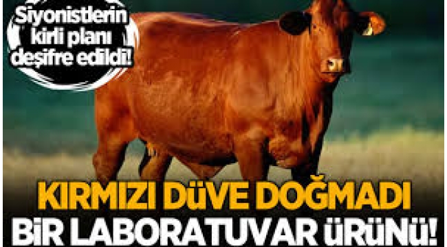 Siyonistlerin planı deşifre edildi! 