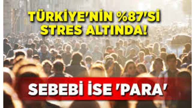  Stres   Sebebi parasızlık!