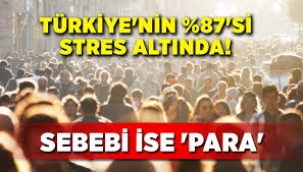  Stres   Sebebi parasızlık!