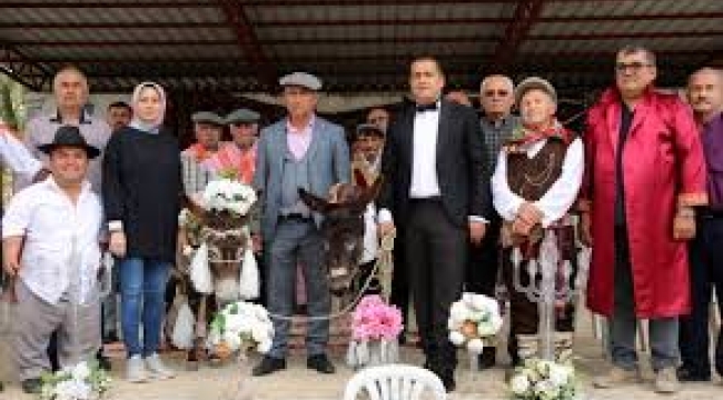 'Nesli tükenmesin' diye eşeklere nikah kıydılar! Beşi bir yerde takıldı