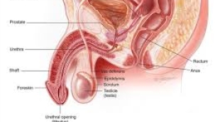 Prostat sorunları nasıl anlaşılır? Hangi belirtileri verir?