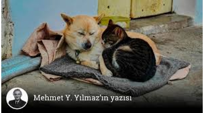 Uyutmayacaklar, öldürecekler!