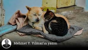 Uyutmayacaklar, öldürecekler!