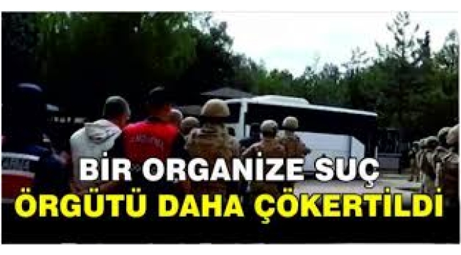 Bir organize suç örgütü daha çökertildi