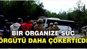 Bir organize suç örgütü daha çökertildi