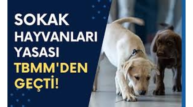Sokak hayvanları yasası TBMM'den geçti