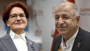 Akşener'in "Adamı Cumhurbaşkanı seçiyoruz" dediği araştırmacı kim