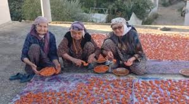 90 yılı deviren üç kadın uzun yaşamın sırrını açıkladı