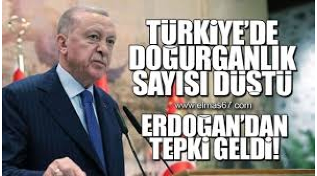 Doğurganlık hızımızın düşmesi 'felaket' mi?