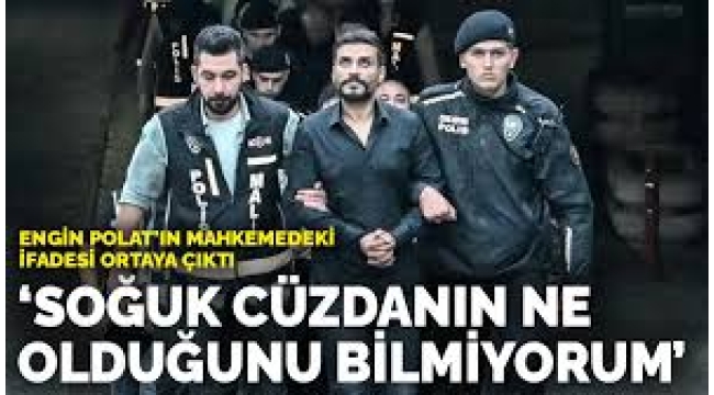 Engin ve Dilan Polat'ın mahkemedeki ifadeleri ortaya çıktı
