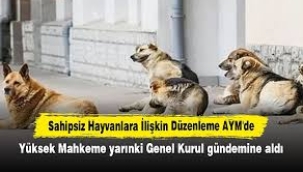 Sahipsiz hayvanlara ilişkin düzenleme AYM'de!