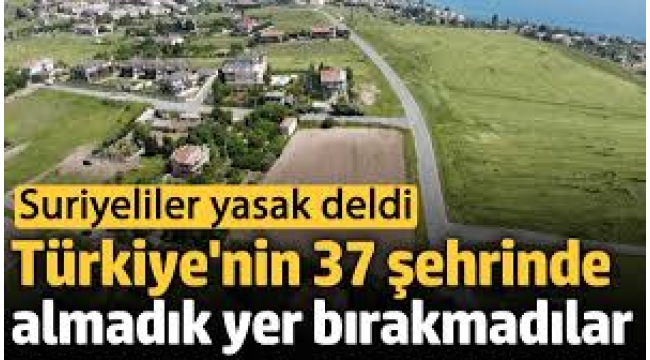  'Suriyeliler Türkiye'nin 37 şehrinde almadık yer bırakmadılar