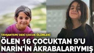 Tavşantepe'deki çocuk ölümleri: Ölen 16 çocuktan 9'u Narin'in akrabalarıymış