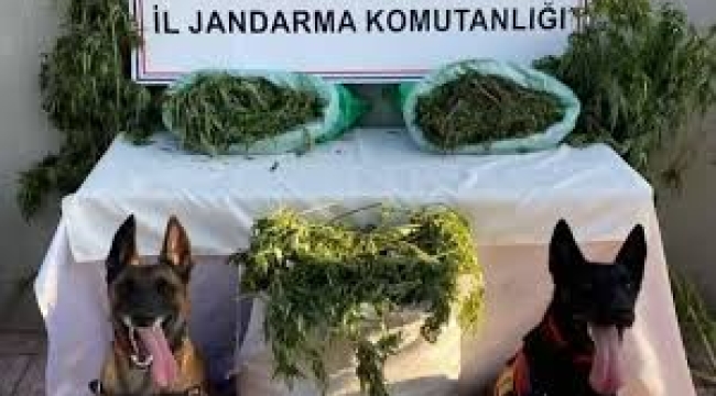 53 ilde uyuşturucu operasyonu: