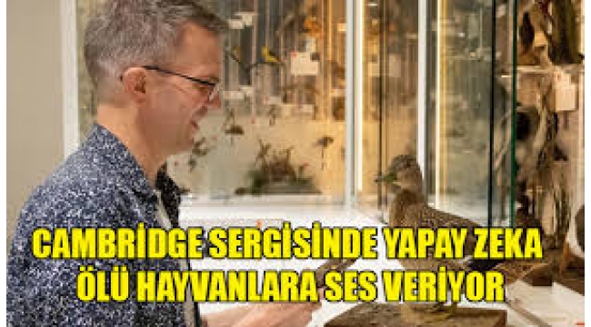Cambridge'deki müzede nesli tükenmiş hayvanlar yapay zekayla canlanıyor