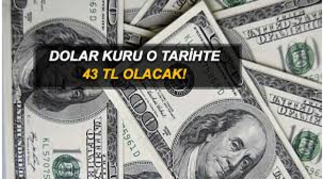 Dolar 43 lira olacak