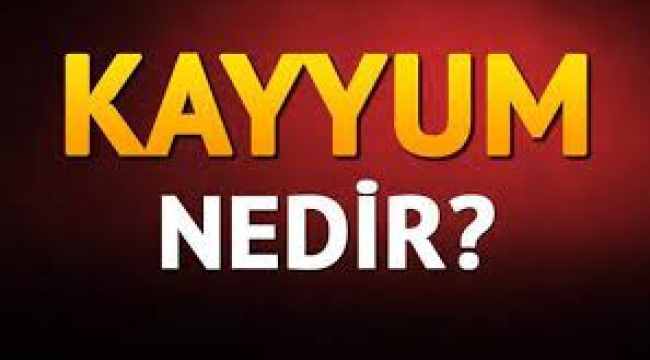 Kayyum hakkında doğru bilinen yanlışlar: Türk siyasetine ne zaman girdi...