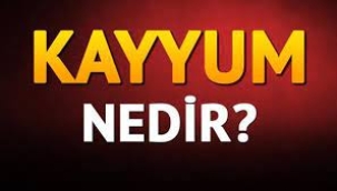 Kayyum hakkında doğru bilinen yanlışlar: Türk siyasetine ne zaman girdi...