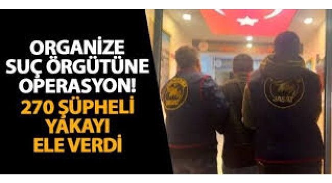 Organize suç örgütüne operasyon: 270 şüpheli yakalandı