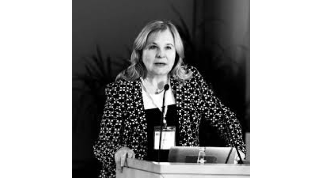 Sonu kötü biten başka bir yerli teknoloji hikâyesi daha...