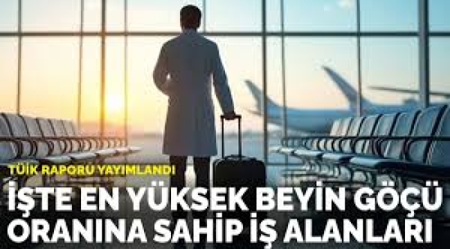 İşte en yüksek beyin göçü oranına sahip iş alanları