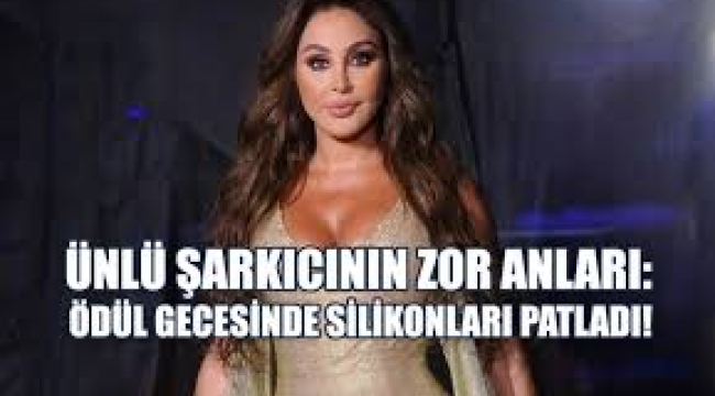 Ödül gecesinde ünlü sanatçının silikonları patladı!