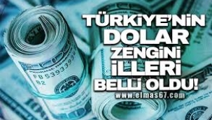 Türkiye'nin dolar zengini illeri belli oldu