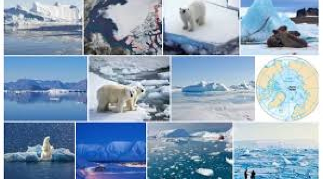 Türk vatandaşlarına oturma hakkı verilen Norveç Svalbard Adaları nasıl bir yer?