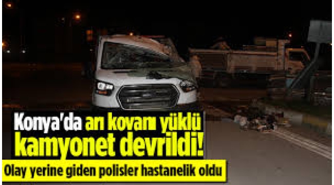 Arı kovanı taşıyan kamyonet devrildi! Arılar olay yerine gelen polisleri hastanelik etti