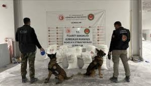 Gümrüklerde uyuşturucu operasyonu: 4 günde 2 ton uyuşturucu yakalandı