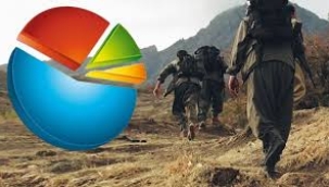 PKK'nın silah bırakma kararı sonrası flaş anket! 