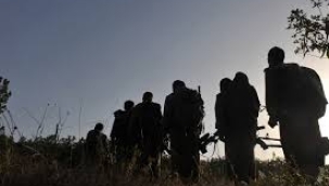 Bir PKK’yı görüyoruz ya diğerleri?