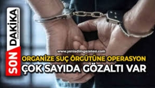 Organize suçlara Jandarma darbesi: 230 gözaltı
