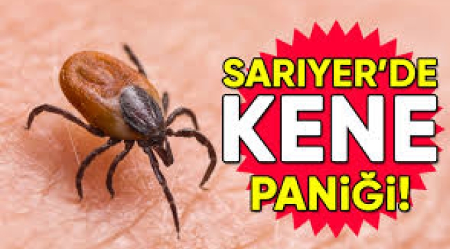 Sarıyer'de de kene paniği yaşanıyor.