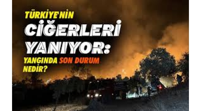 Türkiye'nin ciğerleri yanıyor: İşte yangınlarda son durum