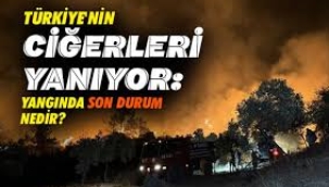 Türkiye'nin ciğerleri yanıyor: İşte yangınlarda son durum