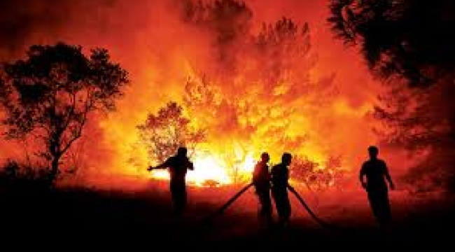 Bu ülke ormanlarını neden söndüremiyor?