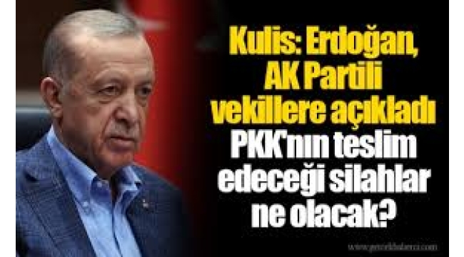 Erdoğan, AKP'li vekillere açıkladı: PKK'nın teslim edeceği silahlar ne olacak?