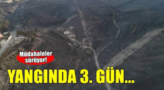 İzmir'de yangın 3. gününde 