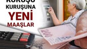 Memur ve memur emeklisi maaşları belli oldu..